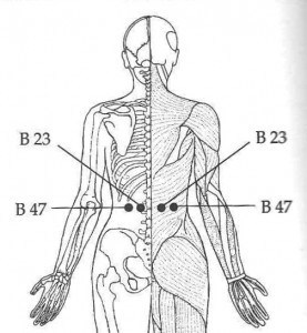 back massage chart of pressure points